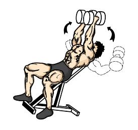 Como abrir uma academia de ginástica:o plano de negócio – parte 2