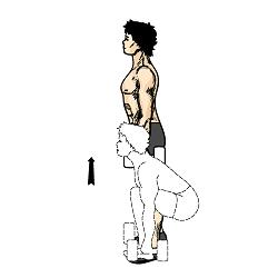 Organizando o processo seletivo para contratar professores – Ginástica