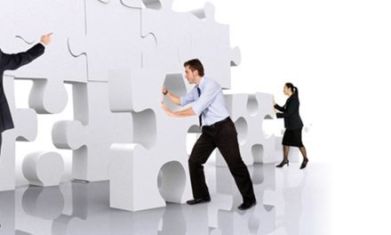 Empresário ou Executivo