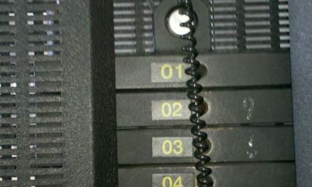 Os tijolinhos da sala de musculação.