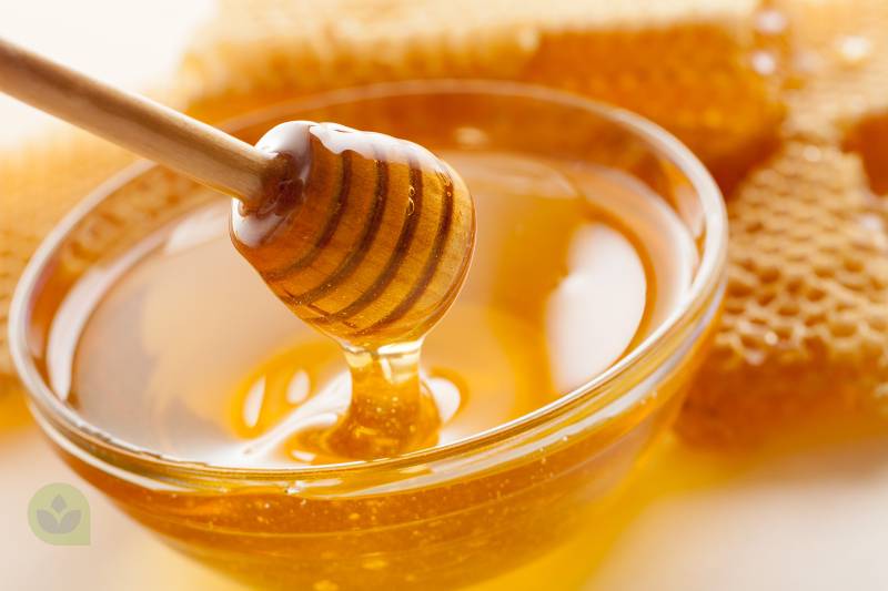 benefícios do mel para a saúde